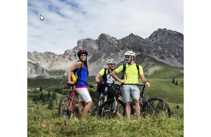 Hotel Ladina Campitello di Fassa Dış mekan fotoğraf