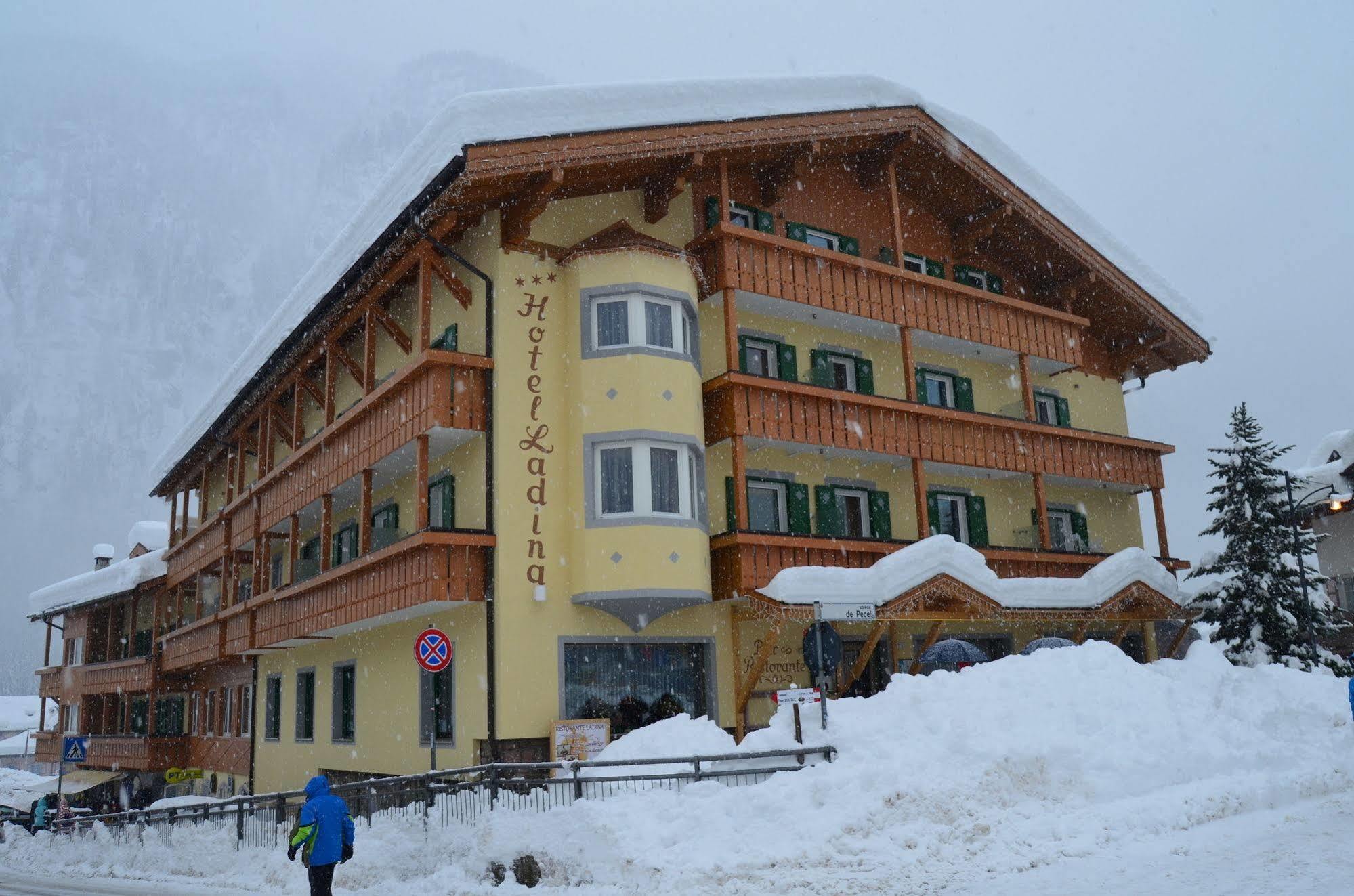 Hotel Ladina Campitello di Fassa Dış mekan fotoğraf